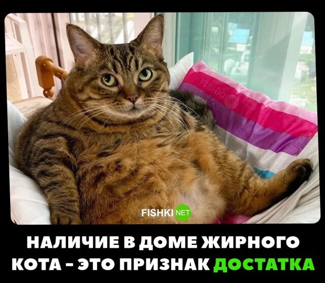 Признак достатка