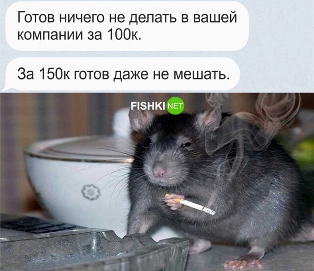 Картинка дня 25-03-2023