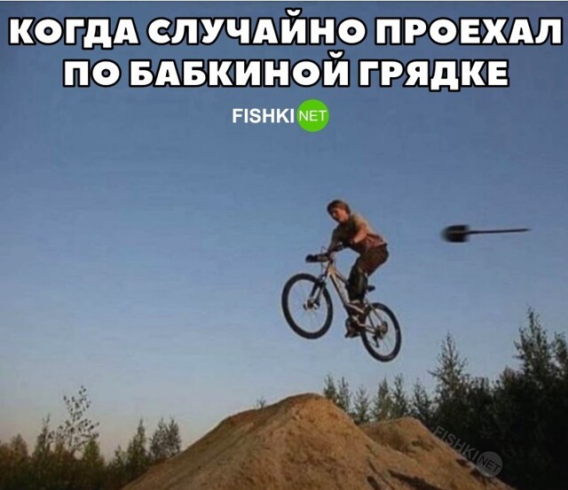Фотоприколы и прикольные картинки
