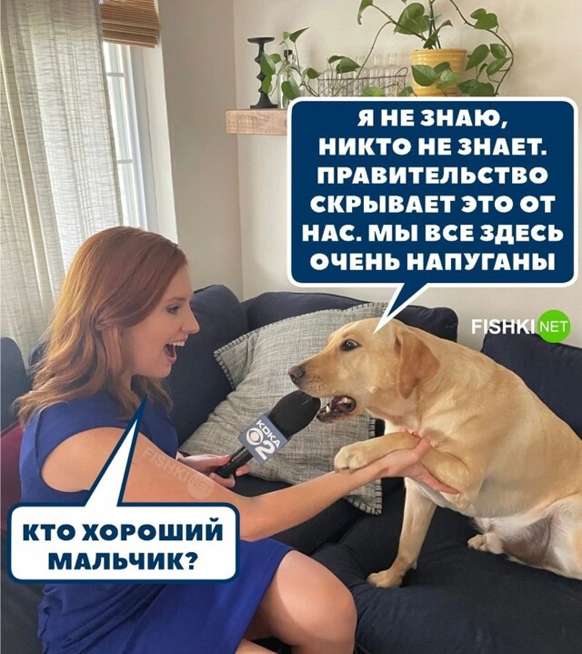 Снова заговор