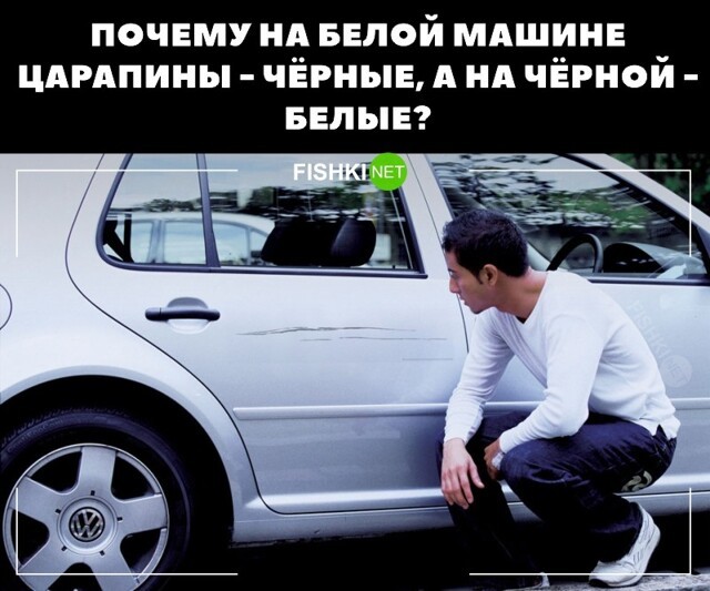 Фотоприколы и прикольные картинки