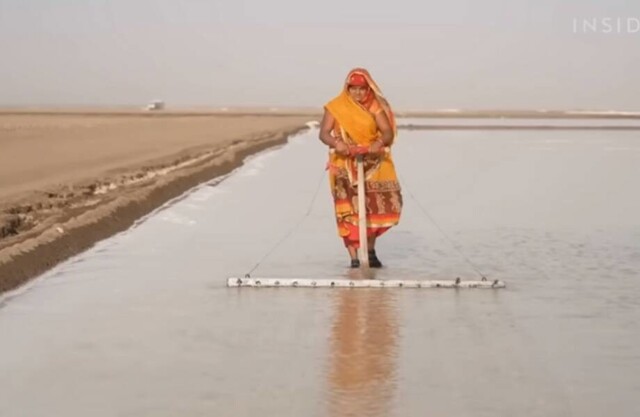 Как выращивают соль в жаркой индийской пустыне