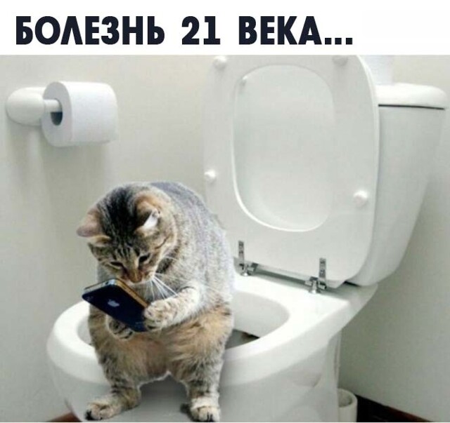 Фотоприколы и прикольные картинки