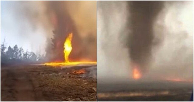 Огненный смерч в Забайкалье сняли на видео
