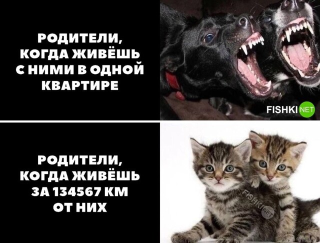 Родители такие родители