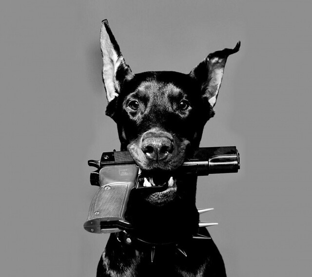 На общую тему 