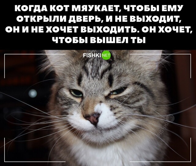 Тайна раскрыта