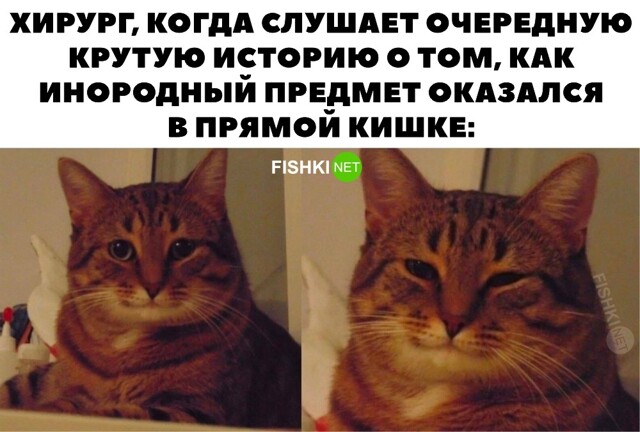 Конечно же я вам верю