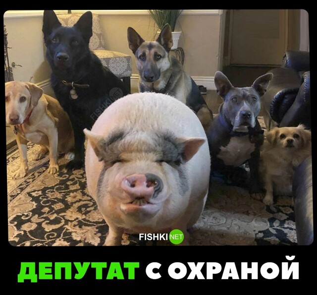 Депутат со свитой