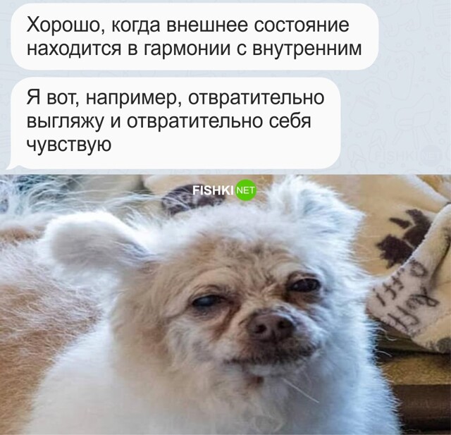 Полная гармония