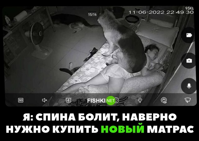 Причина боли в спине