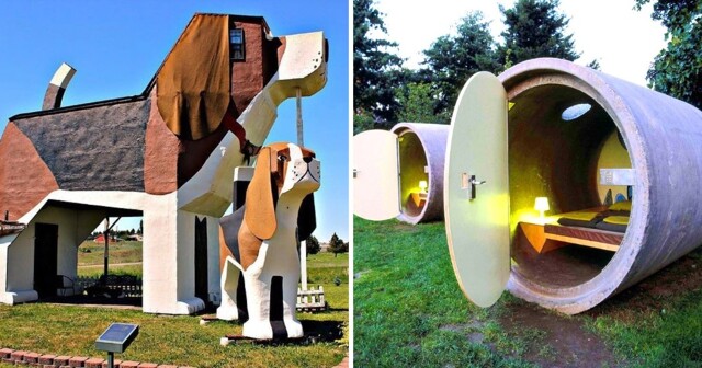 Аквариум наоборот, гигантская собака и домики хоббитов: 10 самых необычных отелей