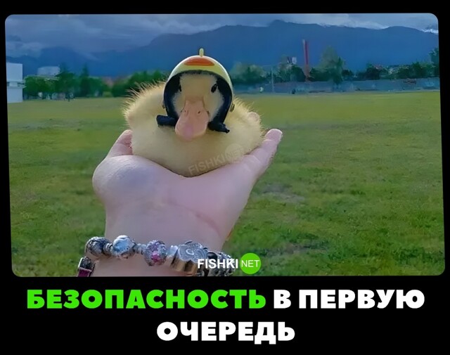 Безопасность превыше всего