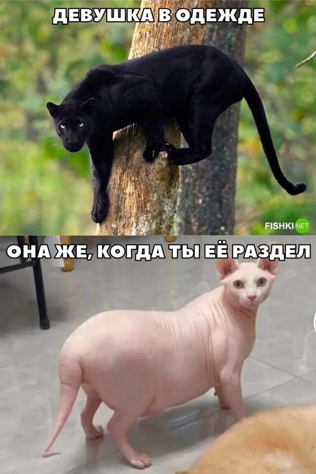 В одежде и без одежды