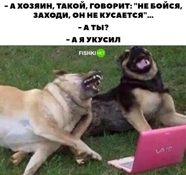 Разговор двух друзей