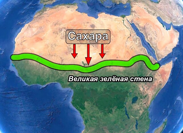 Великая зелёная стена: как Африка хочет остановить опустынивание и защититься от Сахары?