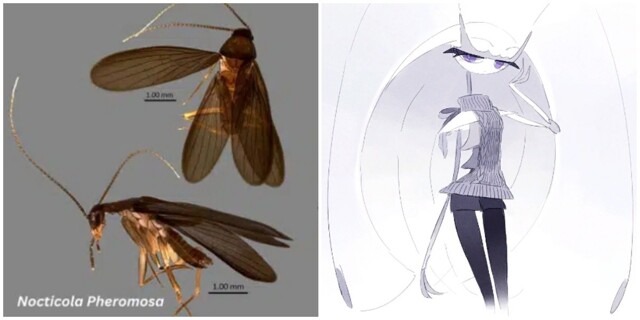 Учёные назвали новый вид тараканов в честь покемона