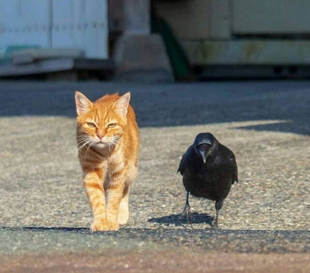 Фотоподборка