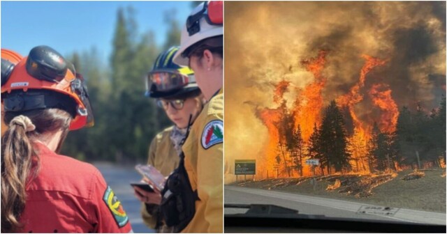 В Канаде дамы-пожарные спалили лес, доказывая, что они лучше мужчин