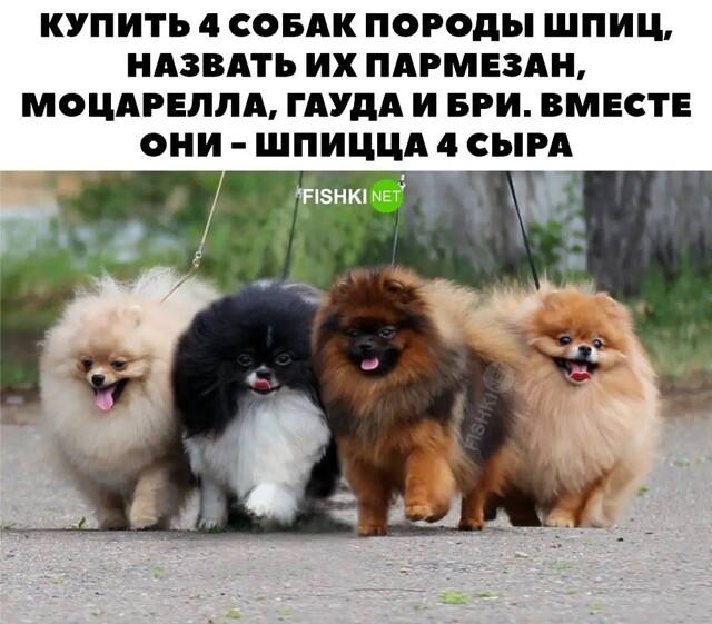 4 сыра