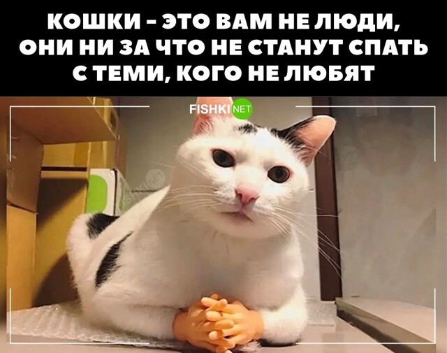 В этом что-то есть