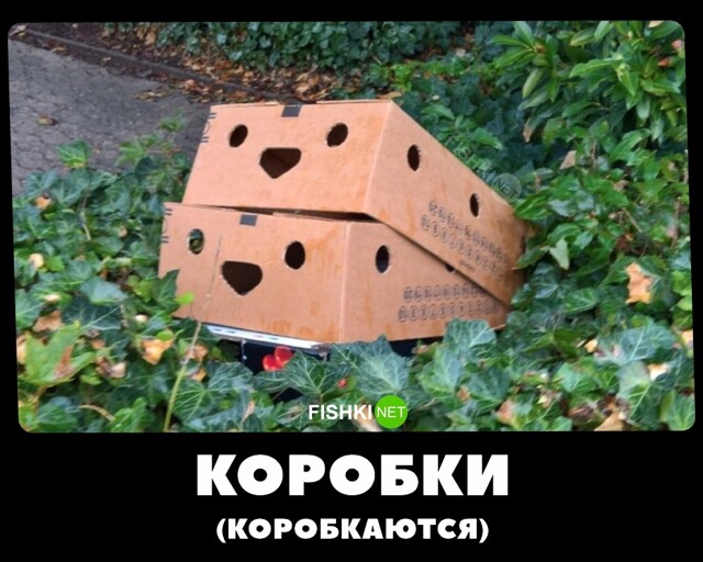 Из жизни коробок
