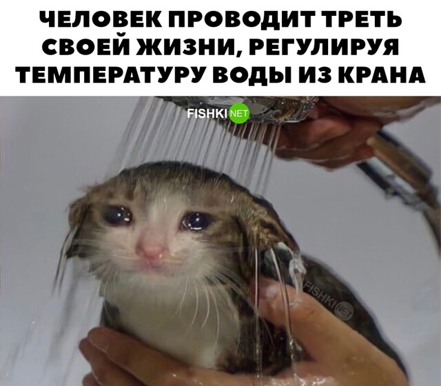 Треть жизни