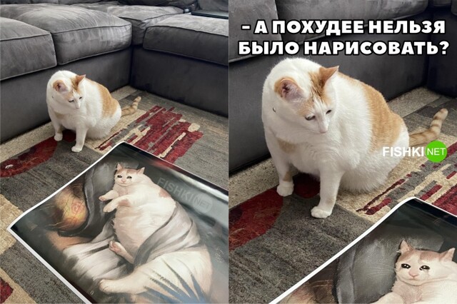 Недовольный заказчик