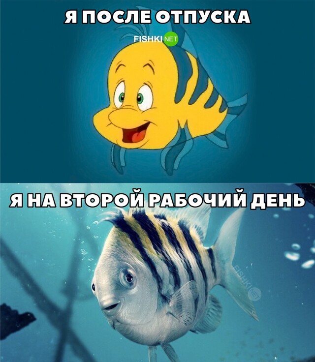 После отпуска
