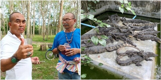 Таец пьёт крокодилью кровь для "поддержания здоровья"