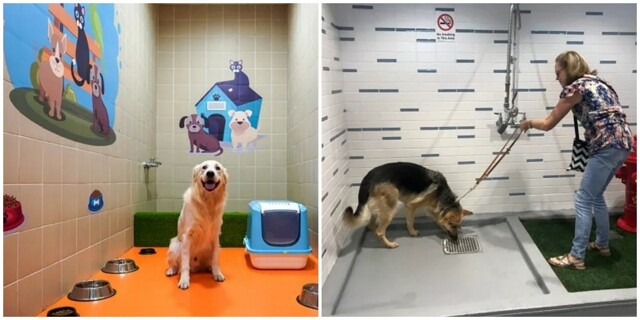 В новом аэропорту Стамбула есть специальный туалет для домашних животных