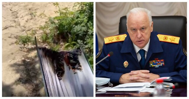 «Я это делал с целью разжигания религиозной розни»: в Волгограде силовики задержали доставщика еды за сожжение Корана