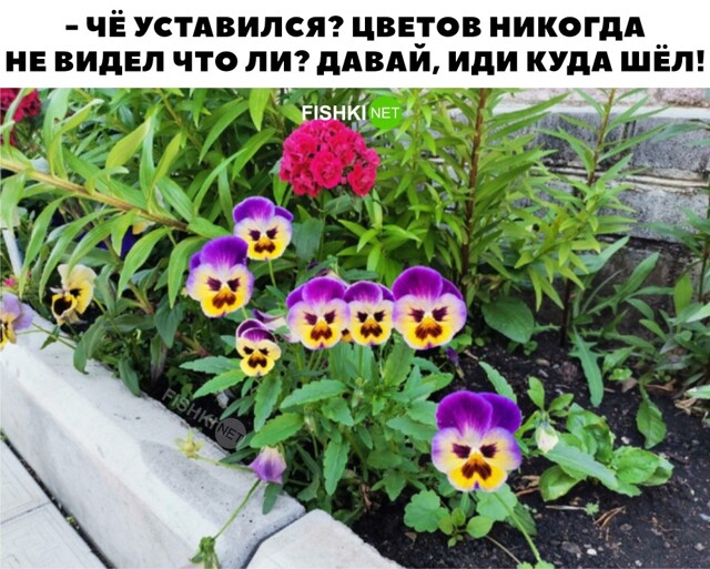 Скрины из соцсетей 