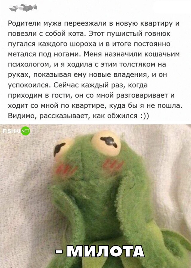 Картинка дня 24-05-2023