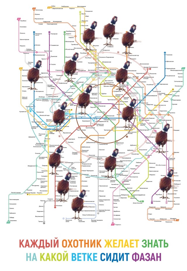 Как выбирали цвета линий Московского метро?⁠⁠