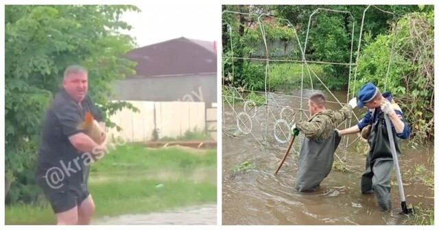 Мужик голыми руками поймал сазана на затопленной улице в Краснодарском крае и попал на видео