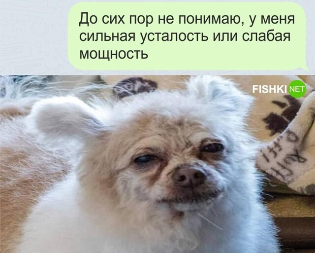 Нужное подчеркни