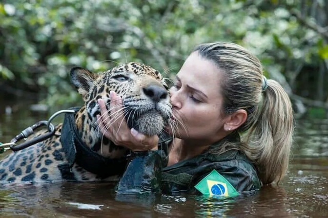 Тоже кошка, но только большая: необычная история ягуара в бразильской армии