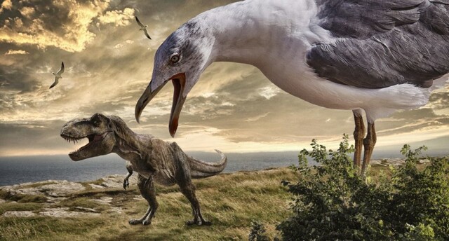 Почему динозавры вымерли, а птицы нет