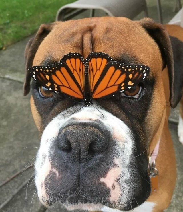 Намешалось 