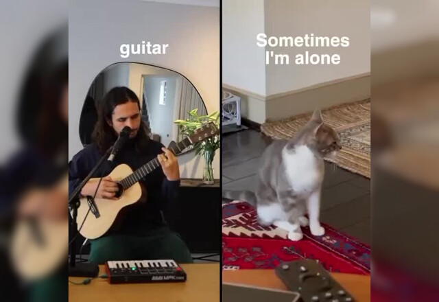 Музыкант расслышал в мяуканье кота слова и сделал на их основе грустный трек