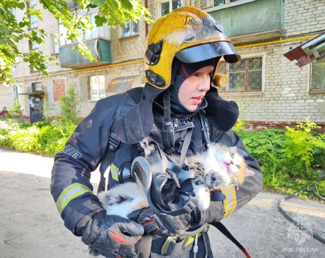Надышавшуюся дымом кошку спасли из пожара в Йошкар-Оле