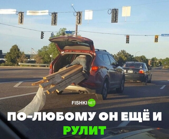 Фотоприколы и&nbsp;прикольные картинки