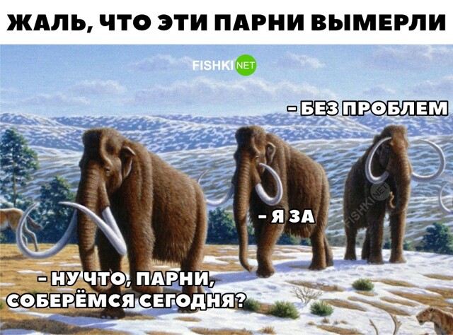 Картинка дня 23-06-2023