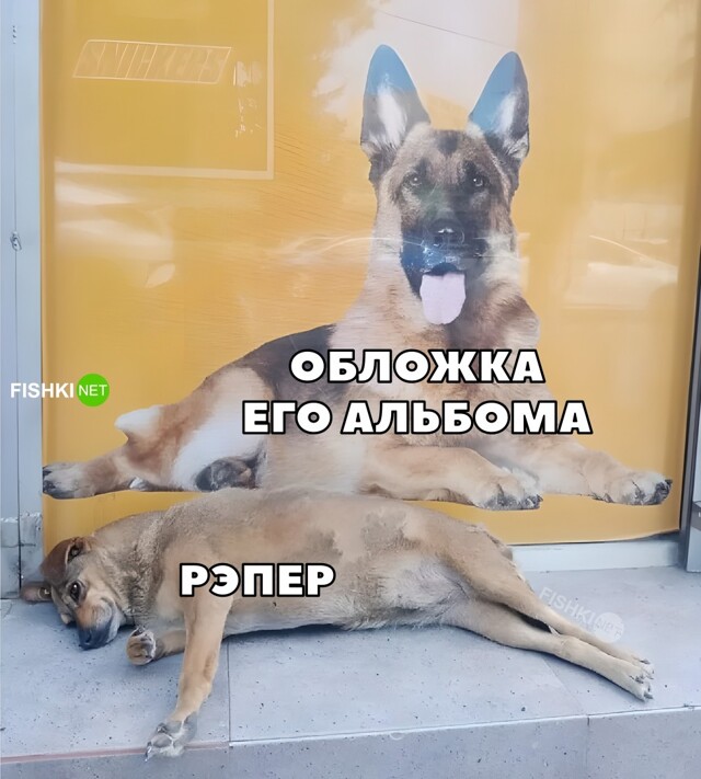 Картинка дня 24-06-2023