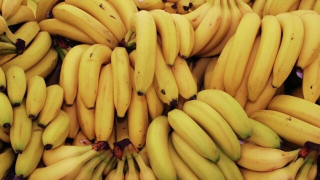 В партии бананов в Санкт-Петербурге нашли 50 килограммов наркотиков