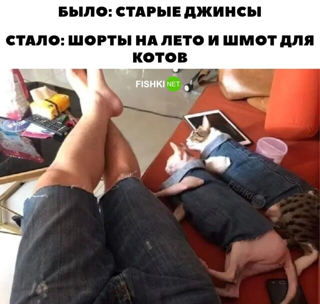 Не ищите здесь смысл. Здесь в основном маразм