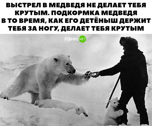 Картинка дня 01-07-2023