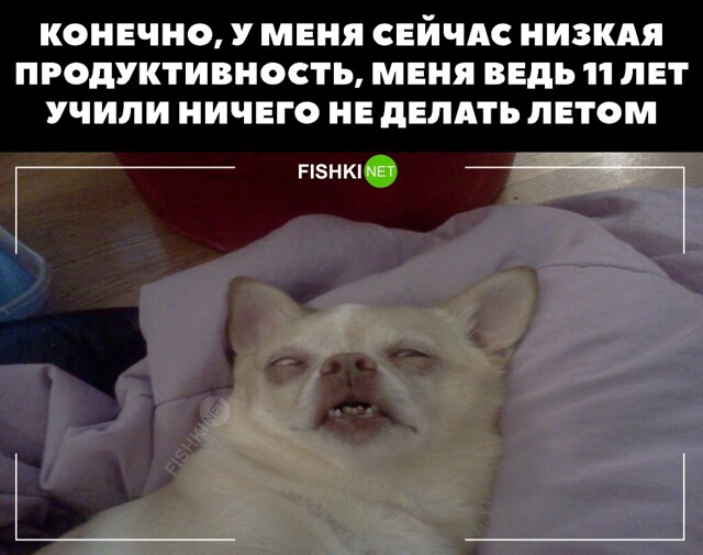 Картинка дня 13-07-2023