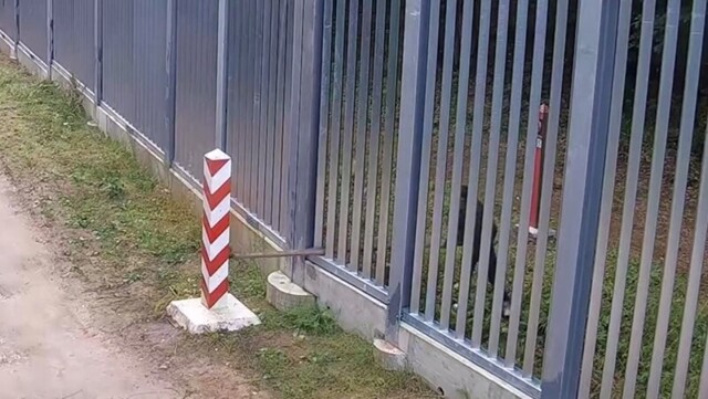 На границе Польши и Белоруссии мужчина попытался сломать польский пограничный столб
